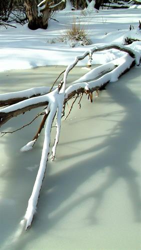 On Frozen Pond, Dinner Plains, VIC.